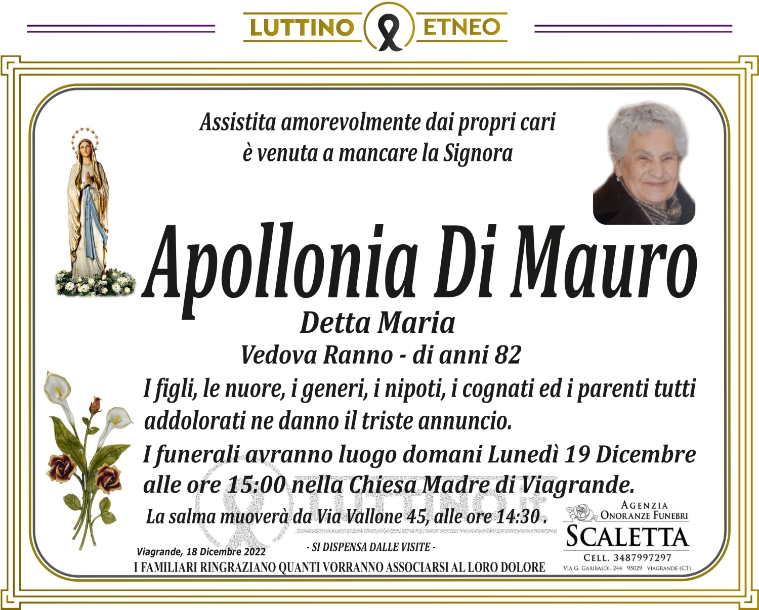 Apollonia  Di Mauro 